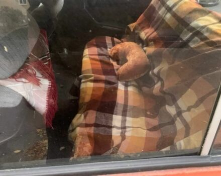 Красный ВАЗ 2106, объемом двигателя 1.3 л и пробегом 180 тыс. км за 238 $, фото 4 на Automoto.ua