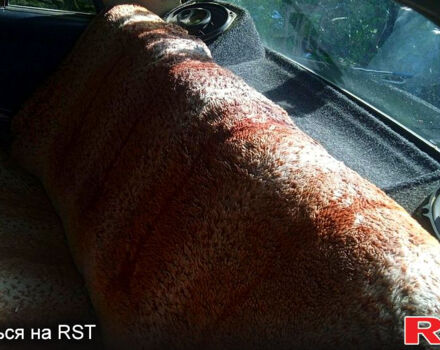 ВАЗ 2106, объемом двигателя 1.6 л и пробегом 0 тыс. км за 1080 $, фото 5 на Automoto.ua