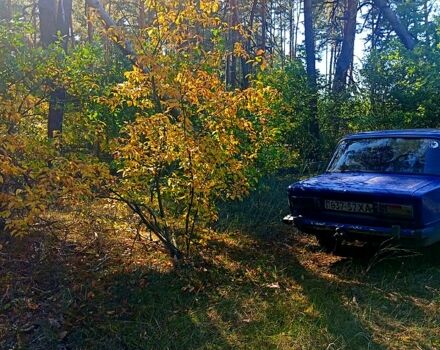 ВАЗ 2106, объемом двигателя 1.3 л и пробегом 264 тыс. км за 350 $, фото 1 на Automoto.ua