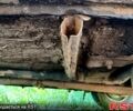 Желтый ВАЗ 2106, объемом двигателя 1.6 л и пробегом 180 тыс. км за 550 $, фото 8 на Automoto.ua