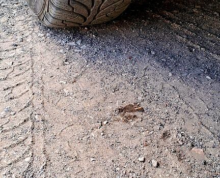 Зеленый ВАЗ 2106, объемом двигателя 1.3 л и пробегом 26 тыс. км за 700 $, фото 6 на Automoto.ua