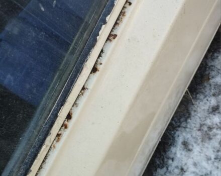 Бежевый ВАЗ 2107, объемом двигателя 1.5 л и пробегом 3 тыс. км за 381 $, фото 3 на Automoto.ua