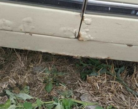 ВАЗ 2107 1984 в Каменце-Подольском на Automoto.ua Бежевый ВАЗ 2107, объемом двигателя 1.3 л и пробегом 80 тыс. км за 350 $, фото 3 на Automoto.ua