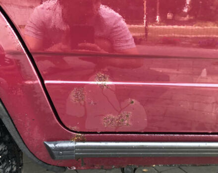 Красный ВАЗ 2107, объемом двигателя 1.5 л и пробегом 169 тыс. км за 1200 $, фото 17 на Automoto.ua