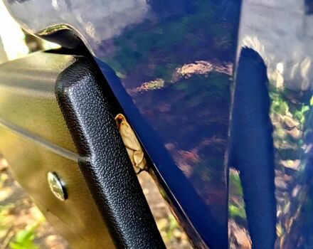 ВАЗ 2107, объемом двигателя 1.5 л и пробегом 28 тыс. км за 3560 $, фото 6 на Automoto.ua