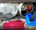 ВАЗ 2107, об'ємом двигуна 1.5 л та пробігом 56 тис. км за 900 $, фото 6 на Automoto.ua