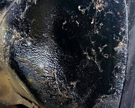 ВАЗ 2107 2005 в Каневе на Automoto.ua Синий ВАЗ 2107, объемом двигателя 1.5 л и пробегом 100 тыс. км за 710 $, фото 4 на Automoto.ua