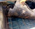 Зеленый ВАЗ 2107, объемом двигателя 1.5 л и пробегом 0 тыс. км за 1400 $, фото 5 на Automoto.ua