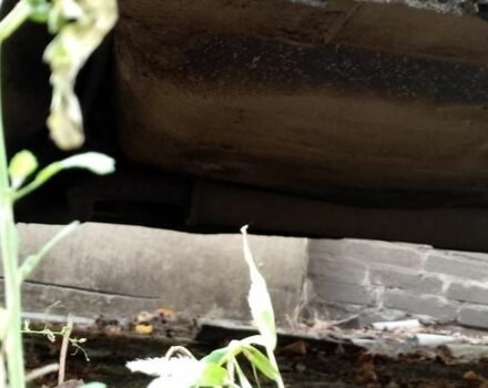 Белый ВАЗ 2108, объемом двигателя 1.3 л и пробегом 56 тыс. км за 477 $, фото 5 на Automoto.ua