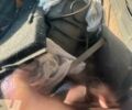 Бежевый ВАЗ 2108, объемом двигателя 1.5 л и пробегом 180 тыс. км за 143 $, фото 3 на Automoto.ua