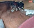 Красный ВАЗ 2108, объемом двигателя 1.3 л и пробегом 164 тыс. км за 1299 $, фото 31 на Automoto.ua