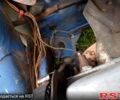 Синий ВАЗ 2108, объемом двигателя 1.3 л и пробегом 0 тыс. км за 500 $, фото 3 на Automoto.ua