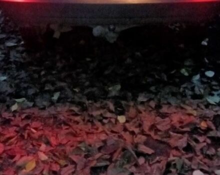 Синий ВАЗ 2108, объемом двигателя 1.3 л и пробегом 2 тыс. км за 1100 $, фото 7 на Automoto.ua