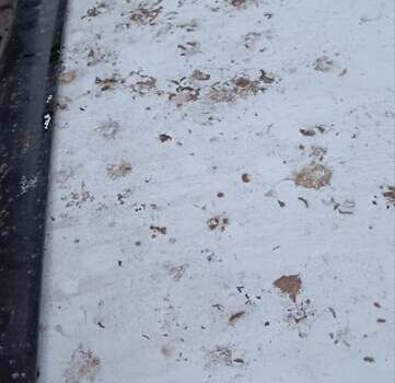 Білий ВАЗ 2109, об'ємом двигуна 1.29 л та пробігом 300 тис. км за 750 $, фото 18 на Automoto.ua