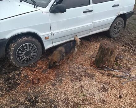 Білий ВАЗ 2109, об'ємом двигуна 1.1 л та пробігом 200 тис. км за 550 $, фото 1 на Automoto.ua
