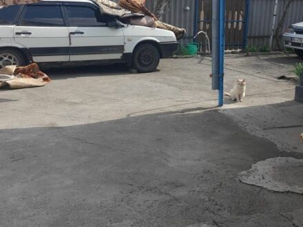 ВАЗ 2109 1992 у Бериславе на Automoto.ua Білий ВАЗ 2109, об'ємом двигуна 0 л та пробігом 1000 тис. км за 650 $, фото 1 на Automoto.ua