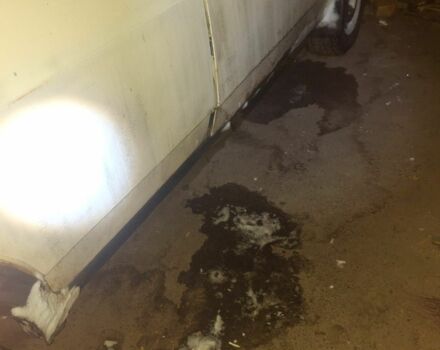 Белый ВАЗ 2109, объемом двигателя 0 л и пробегом 280 тыс. км за 349 $, фото 1 на Automoto.ua