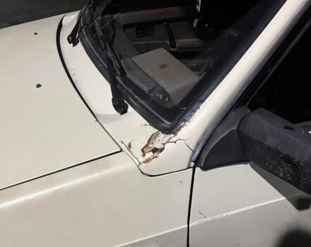 Бежевый ВАЗ 2109, объемом двигателя 1.3 л и пробегом 50 тыс. км за 1100 $, фото 7 на Automoto.ua