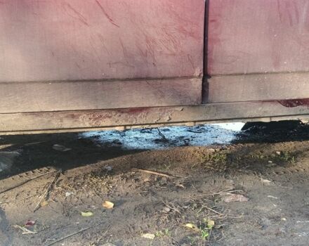 Червоний ВАЗ 2109, об'ємом двигуна 1.3 л та пробігом 5 тис. км за 591 $, фото 2 на Automoto.ua