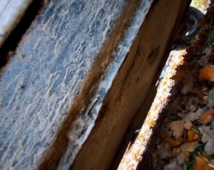 ВАЗ 2109, объемом двигателя 1.3 л и пробегом 0 тыс. км за 750 $, фото 5 на Automoto.ua