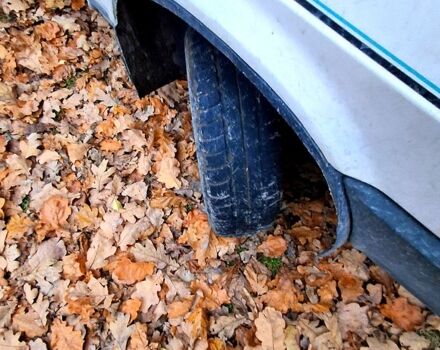 ВАЗ 2109, объемом двигателя 1.3 л и пробегом 0 тыс. км за 750 $, фото 3 на Automoto.ua