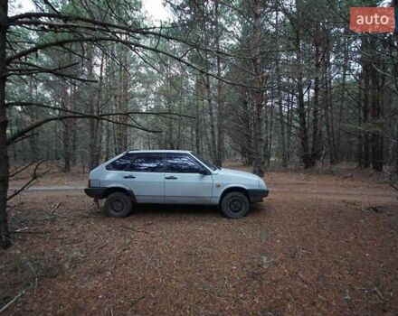 Серый ВАЗ 2109, объемом двигателя 1.5 л и пробегом 250 тыс. км за 1017 $, фото 1 на Automoto.ua