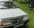 Серый ВАЗ 2109, объемом двигателя 1.5 л и пробегом 56 тыс. км за 757 $, фото 2 на Automoto.ua