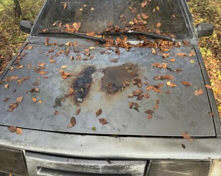 Серый ВАЗ 2109, объемом двигателя 1.3 л и пробегом 3 тыс. км за 239 $, фото 1 на Automoto.ua