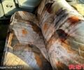 Серый ВАЗ 2109, объемом двигателя 1.5 л и пробегом 0 тыс. км за 1100 $, фото 2 на Automoto.ua