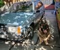 Серый ВАЗ 2109, объемом двигателя 1.5 л и пробегом 250 тыс. км за 2001 $, фото 2 на Automoto.ua