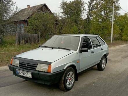 Серый ВАЗ 2109, объемом двигателя 1.5 л и пробегом 300 тыс. км за 1300 $, фото 1 на Automoto.ua