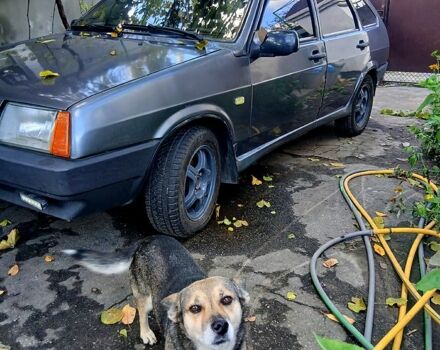 ВАЗ 2109 2006 в Вознесенске на Automoto.ua Серый ВАЗ 2109, объемом двигателя 1.5 л и пробегом 0 тыс. км за 1250 $, фото 1 на Automoto.ua