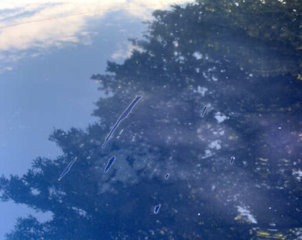 Синий ВАЗ 2109, объемом двигателя 1.5 л и пробегом 220 тыс. км за 1450 $, фото 20 на Automoto.ua