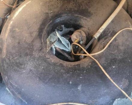 Синий ВАЗ 2109, объемом двигателя 1.5 л и пробегом 2 тыс. км за 1000 $, фото 3 на Automoto.ua