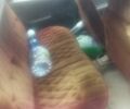 Вишнёвый ВАЗ 2109, объемом двигателя 0 л и пробегом 84 тыс. км за 758 $, фото 4 на Automoto.ua