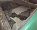Зелений ВАЗ 2109, об'ємом двигуна 1 л та пробігом 1000 тис. км за 486 $, фото 6 на Automoto.ua