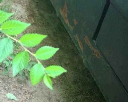 ВАЗ 2109 2004 в Днепре (Днепропетровске) на Automoto.ua Зеленый ВАЗ 2109, объемом двигателя 1.5 л и пробегом 164 тыс. км за 1435 $, фото 4 на Automoto.ua