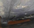 Червоний ВАЗ 21093, об'ємом двигуна 1.5 л та пробігом 73 тис. км за 1900 $, фото 12 на Automoto.ua