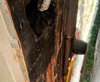 ВАЗ 21099, объемом двигателя 1.3 л и пробегом 0 тыс. км за 1000 $, фото 2 на Automoto.ua