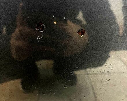 ВАЗ 21099, объемом двигателя 1.6 л и пробегом 130 тыс. км за 2550 $, фото 6 на Automoto.ua