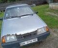 Серый ВАЗ 21099, объемом двигателя 0 л и пробегом 290 тыс. км за 500 $, фото 3 на Automoto.ua