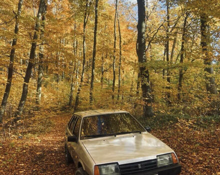 Серый ВАЗ 21099, объемом двигателя 1.6 л и пробегом 216 тыс. км за 1350 $, фото 1 на Automoto.ua