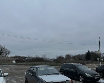 Серый ВАЗ 21099, объемом двигателя 1.6 л и пробегом 230 тыс. км за 964 $, фото 1 на Automoto.ua