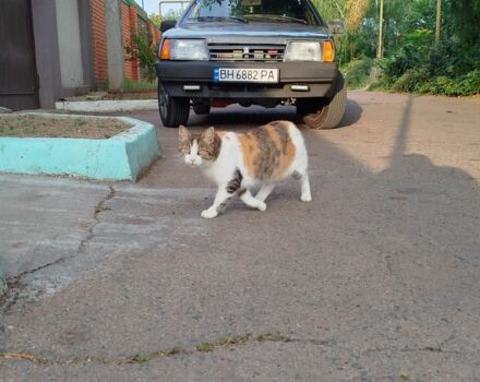 Серый ВАЗ 21099, объемом двигателя 1.6 л и пробегом 2 тыс. км за 2100 $, фото 1 на Automoto.ua