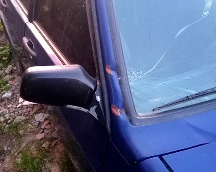 Синий ВАЗ 21099, объемом двигателя 1.5 л и пробегом 200 тыс. км за 1000 $, фото 9 на Automoto.ua