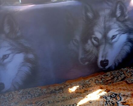 Синий ВАЗ 21099, объемом двигателя 1.5 л и пробегом 292 тыс. км за 1350 $, фото 6 на Automoto.ua