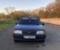 Синій ВАЗ 21099, об'ємом двигуна 1.6 л та пробігом 168 тис. км за 1400 $, фото 9 на Automoto.ua