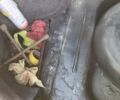 Черный ВАЗ 2110, объемом двигателя 1.6 л и пробегом 236 тыс. км за 2100 $, фото 34 на Automoto.ua