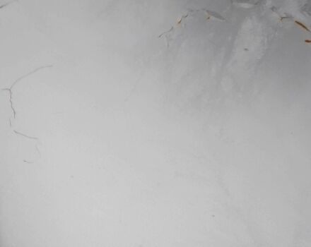 Серый ВАЗ 2110, объемом двигателя 1.6 л и пробегом 250 тыс. км за 1301 $, фото 8 на Automoto.ua