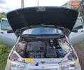 Серый ВАЗ 2110, объемом двигателя 1.6 л и пробегом 130 тыс. км за 3000 $, фото 17 на Automoto.ua